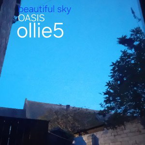 OASIS