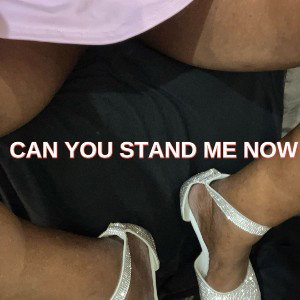 Can You Stand Ne Now mp3