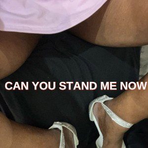 CanYouStandMeNowbyCynthiaTurner2