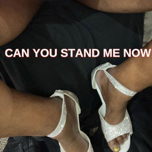 Can You Stand Me Now by Cynthia Turner 2