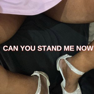 Can You Stand Me Now by Cynthia Turner