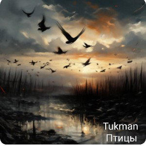 Птицы