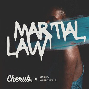 Martial Law - Cherub Connections 