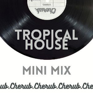 Trop-House Mix - Cherub Connections