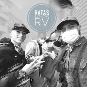 RATAS BLANCAS 🧀