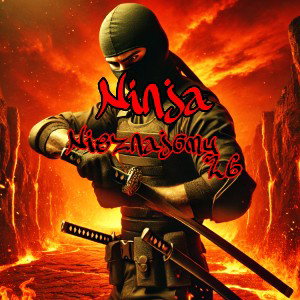 2.Ninja Nieznajomy26