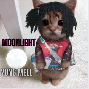 Moonlight