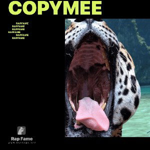 copymee