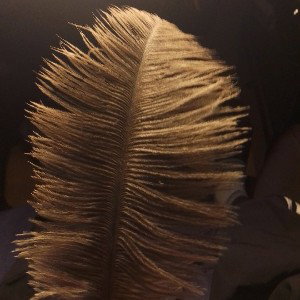 MDR kiff perso👽😈🧙 improvisé