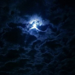 DanteSenpai : Dans ma tête 