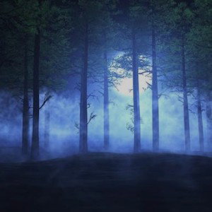 Stream 