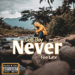 Never Too Late