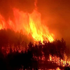 the fyrre ou le feu