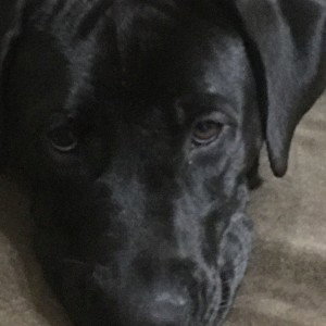 life is hard without you….