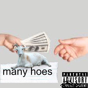 hiphop-music-“Many hoes”