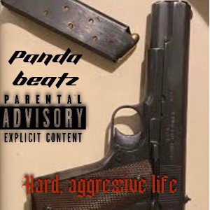 hard aggressive-life
