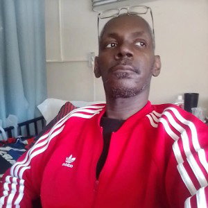 from ant to herbba t