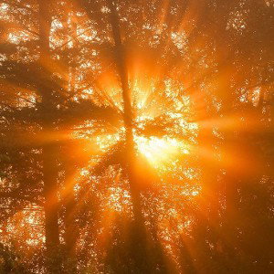 Tears of a sunset 