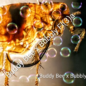 BUBBLY FL(3)A  {Diss} Ft. Rickter James