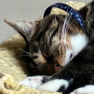 I Want To Make It Out  