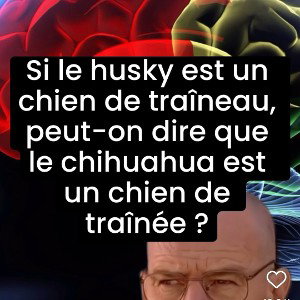 sale grosse pute 