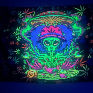 Lit off in this bitch(2)