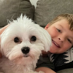Their once was a dog that attacked me 