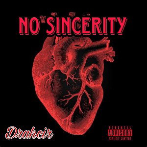 No Sincerity 
