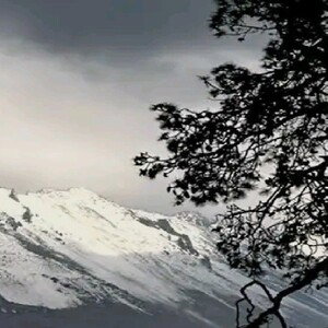 soledad 