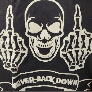 Never Back Down 