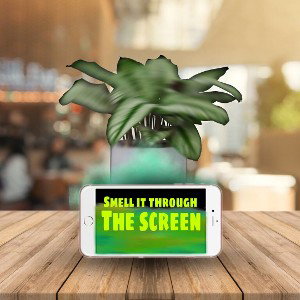 Smell It Through The Screen