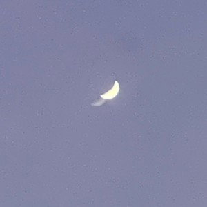 Mond