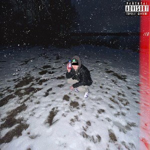 Frozenpæch2