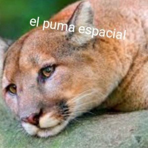 puma espacial 