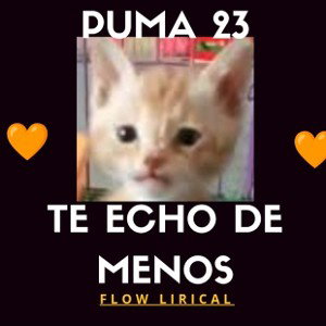 te echo de menos 