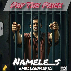 nameLe_s - pay the price