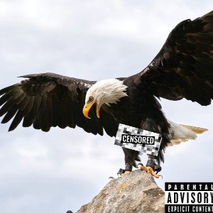 CAH COCK 