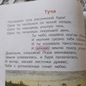 туча
