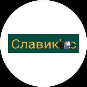 Славик крутой  геймер 