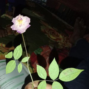 for me and 