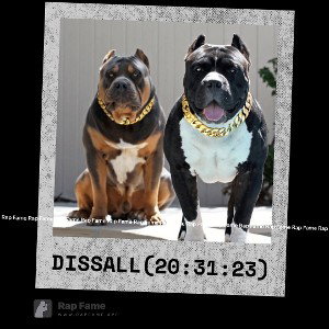 Diss All (20:31:23)