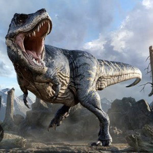 dinosaur 🦖🦕