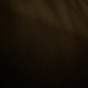 degree