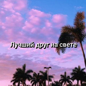 Лучший друг на свете 