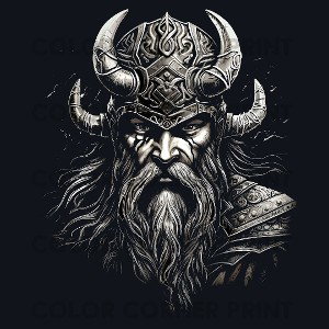 Viking shootout