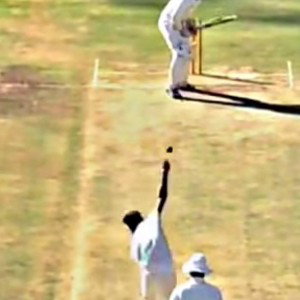 🏏 cricket 