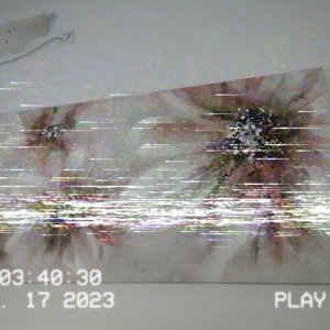 1236 by pcn
