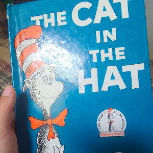 Cat in the hat