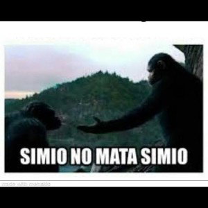 EN EFECTO / FX / Yholer Ysk& CHEMYSIK