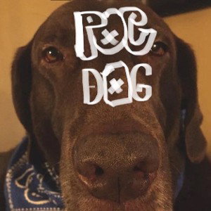 POG DOG (better version)